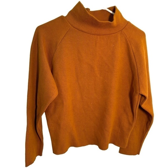 A.Y. Studio Mock Neck Sweater Rust Ribbed - Picture 1 of 9